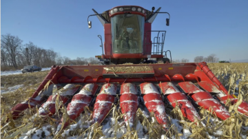 Россия предложила китайским фермерам 1 миллион гектаров пахотных земель