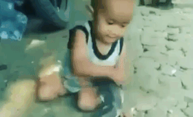 Малыш играл с ядовитой коброй, пока взрослые снимали это на видео и умилялись