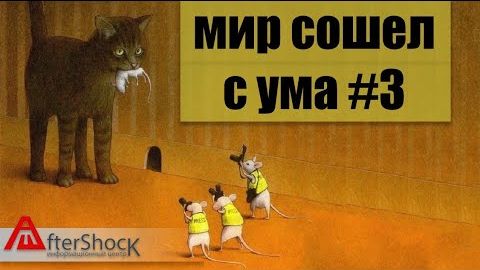 Мир сошел с ума #3. Пятничное