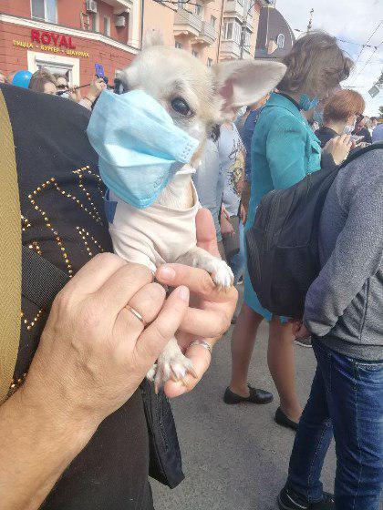 В Мариуполе прошла акция против Ахметова, «забившего болт» на экологию