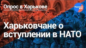 Харьков о НАТО: "С Россией было лучше..."