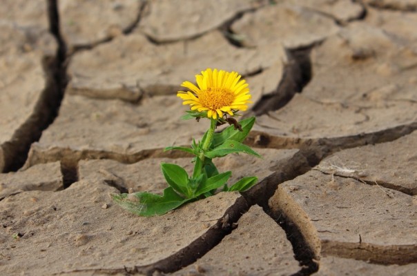 Когда глобальное потепление уже будет нельзя остановить?