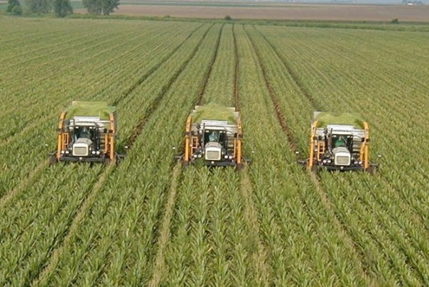 Порошенко обрадовал: крупнейший украинский агрохолдинг стал собственностью Саудовской Аравии