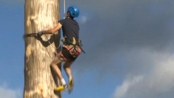 В Британии прошел чемпионат по самому странному виду спорта