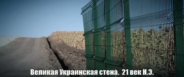 «Дикая» контрабанда