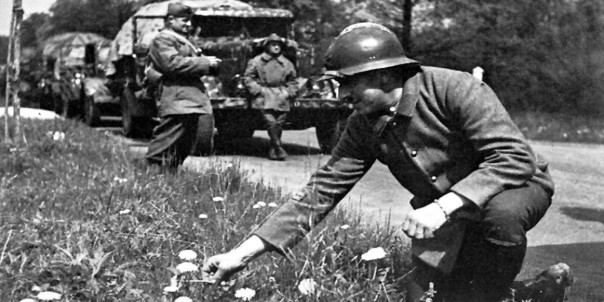 Дозапрягались: как Франция помогала Польше в 1939-м