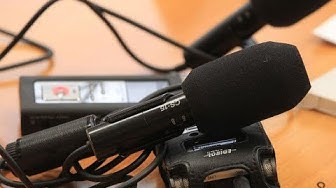 «Свидомая» свобода слова: Верховная Рада требует закрыть каналы «112 Украина» и «NewsOne»