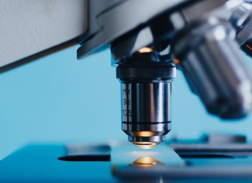 Протоукры?! В Польше нашли человеческие останки возрастом более ста тысяч лет