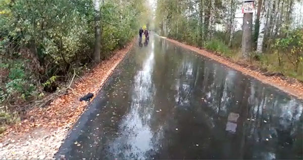 Глаз замылился