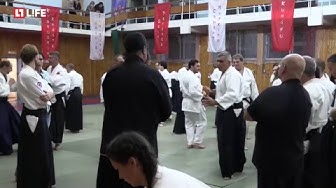 Стивен Сигал дает мастер-класс по айкидо