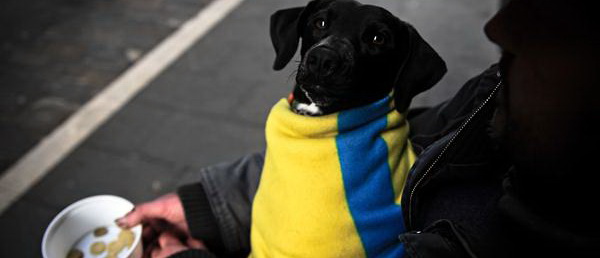 На Украине начался массовый голод