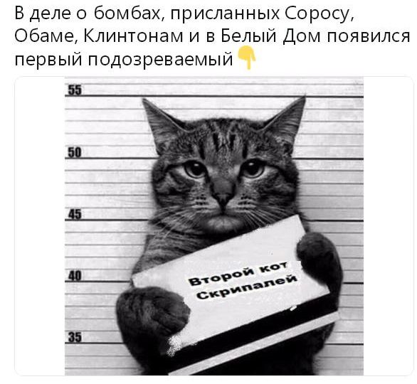 Посылки для демократов