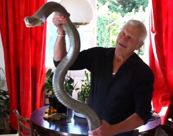 Француз держит у себя 400 рептилий: видео