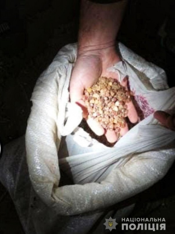 В Ровенской области изьяли крупную партию нелегально добытого янтаря