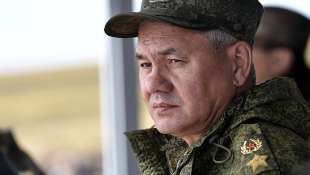 Шойгу рассказал о роли российских военных в разгроме ИГ* в Сирии