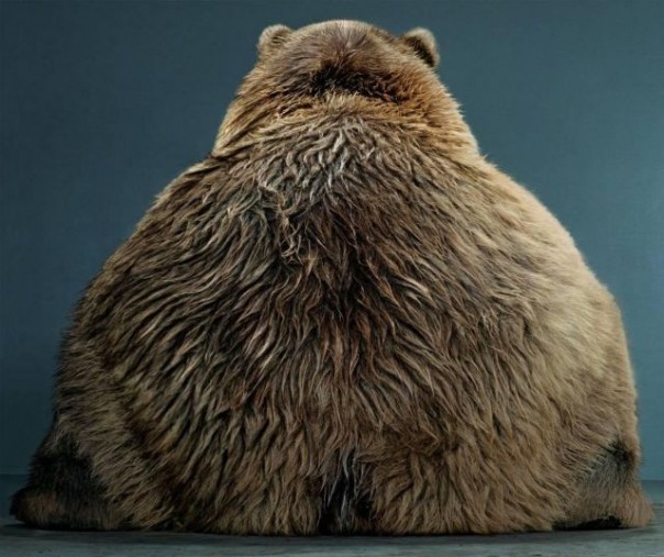 Убогие сказки про «Злую отсталую Россию» и «Добрые передовые США»