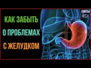 Топ 10 продуктов с которыми вы забудете о проблемах с желудком раз и навсегда. Советы для здоровья