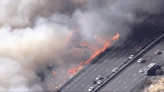 Граница ада. Пожар в Калифорнии подошёл вплотную к оживлённой трассе — видео