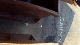 "Иди к маме". В США полицейский помог медведице спасти детёныша | Зимняя бодрость. Финские медведи не могут заснуть из-за отсутствия снега