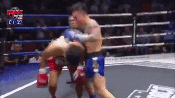 В нокаут обоих... и соперника, и судью — видео