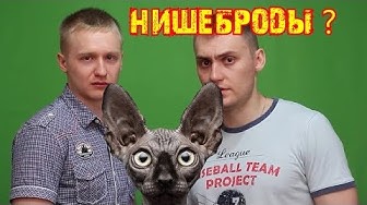 Кот Костян. Налог на нищего Навального и Немагию | Курилы проданы!!! Вот чек из магазина!!!