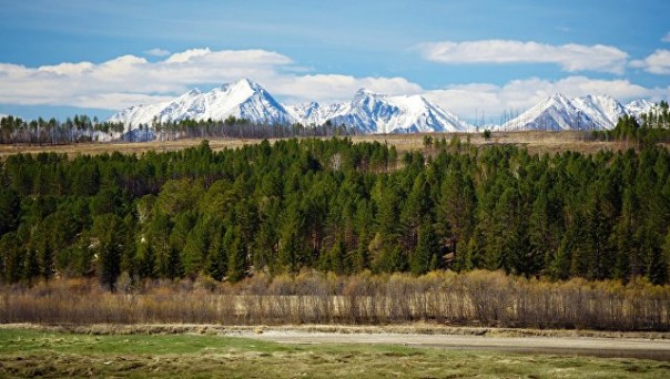 Путин включил Бурятию и Забайкалье в состав ДФО