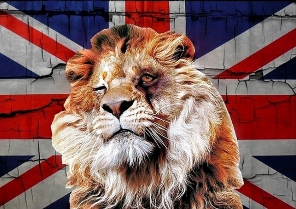 Британский лев, похоже, отощал совсем