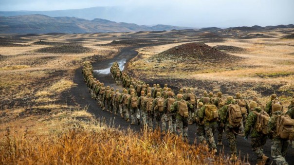 Итоги учений НАТО Trident Juncture: «Это ужасно. И нам за ними убирать»