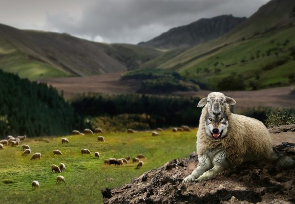 Грузинский рецидив с вкраплением шизофрении. Александр Роджерс