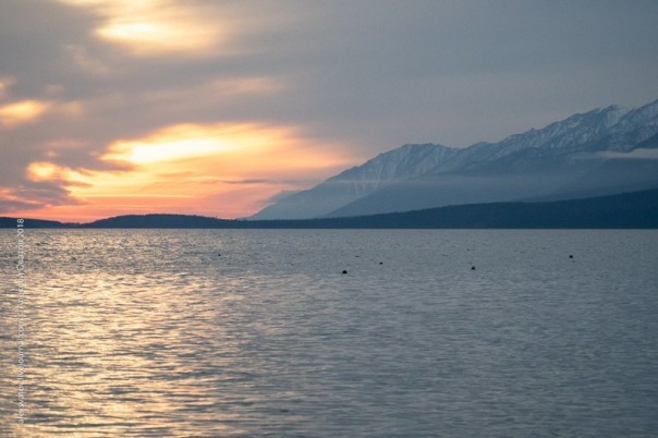 И тут пришли они...[ПЯТНашки]