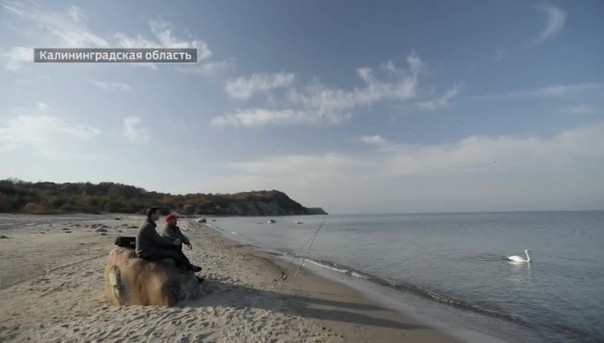 Санитары бизнеса. Специальный репортаж Артема Ямщикова