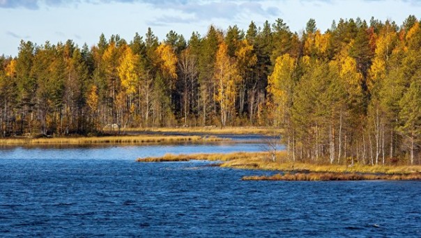 Финские националисты потребовали вернуть Карелию