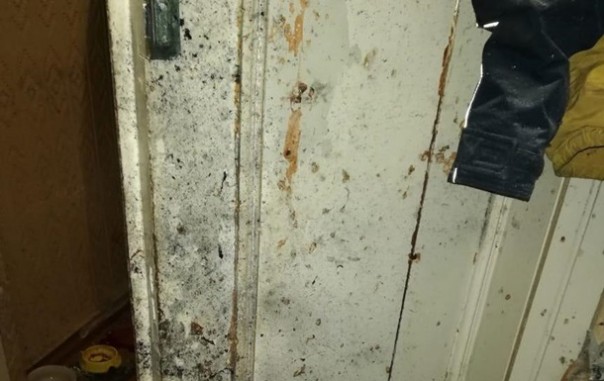 Во время застолья в Каменском мужчина взорвал гранату