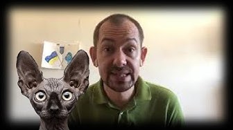 Укроп и Петрушка / Кот Костян