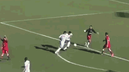 Выбежавшая на поле собака спасла команду от гола в чемпионате Аргентины — видео