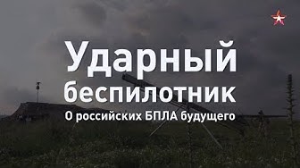 Ударный БПЛА необходим: разработчик о будущем российских беспилотников