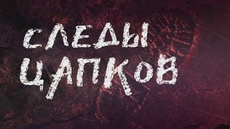 Следы Цапков. Линия защиты
