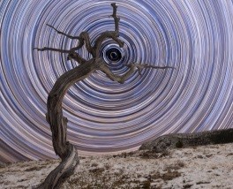 Космическая среда №216 от 26 декабря 2018