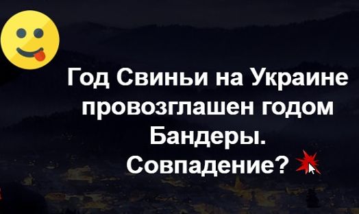 Год Свиньи - год Украины