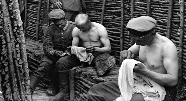 Кто кого: смертоносная вошь против армий всех времён и народов