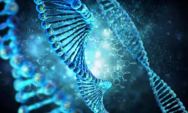 Китайский ученый, заявивший о первых в мире детях с изменениями ДНК, исчез