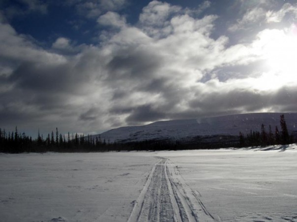 Трехлетний мальчик смог один выбраться из леса, пройдя 3 км в мороз -35