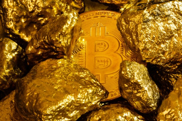 Самые выгодные и провальные вложения денег в этом году