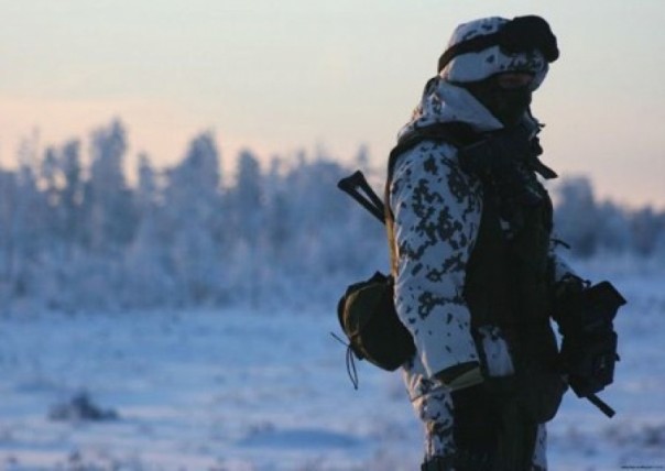 «Рождественское» перемирие подтверждено официально. ОБСЕ и Германия приветствуют этот шаг