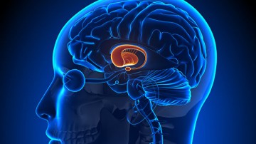 Российские ученые рассказали, как избавиться от умственной усталости