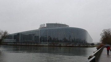 ЕП обвинил Россию в злоупотреблении правом вето в СБ ООН