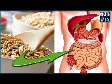 Что будет с вашим телом, если есть овсянку каждый день. Польза овсянки для организма. Рецепты здоровья
