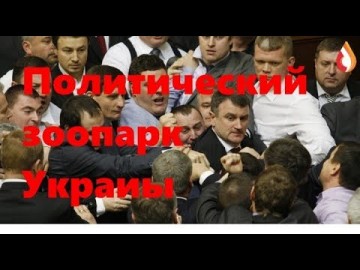 Политический зоопарк Украины | Кандидат Тимошенко | Очередные гастроли голубя мира | Звезды Майдана и др.