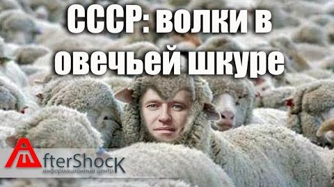 Волк в овечьей шкуре. Мемы со знаком минус из СССР