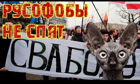 Вы когда отдыхаете, апазицыйа?